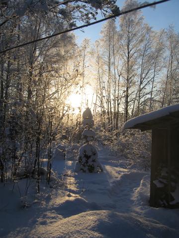 2010_talvikuvia 025.jpg